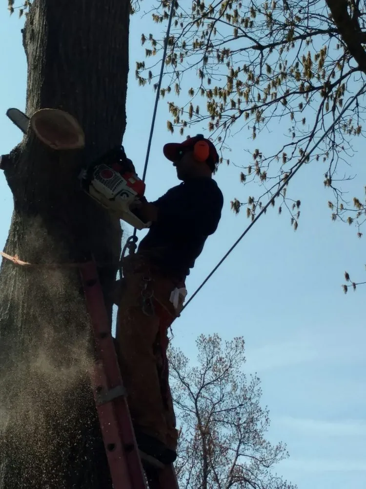 Local landscaping services for year-round maintenance across Ocean Grove, NJ - American Landscaping and Tree Service