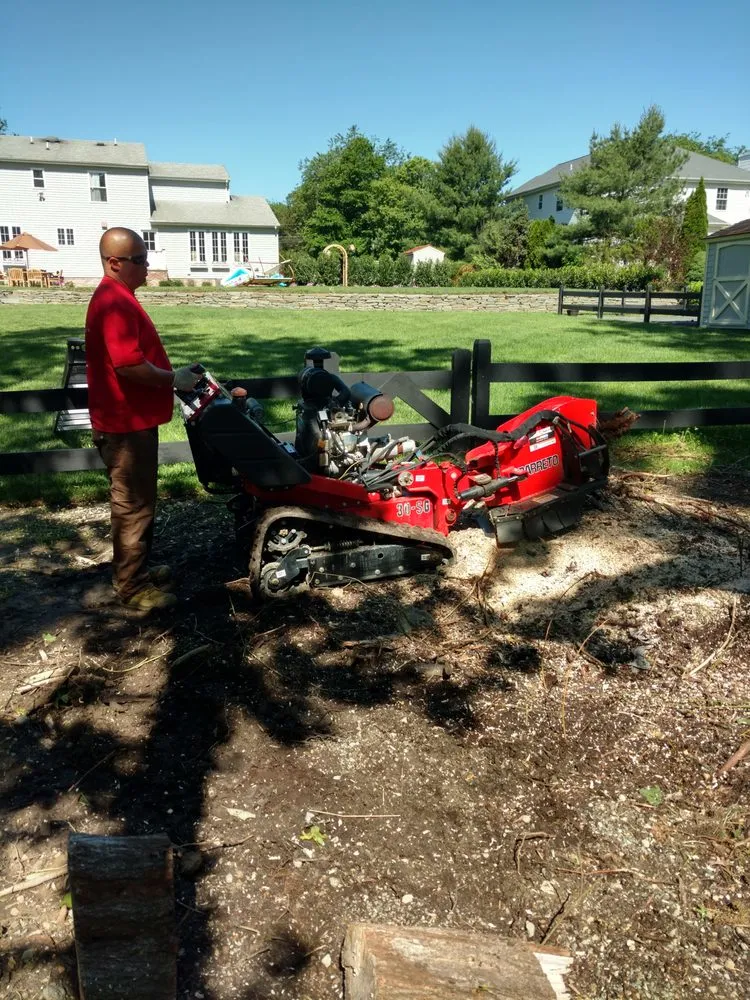 Expert landscaping services in Ocean Grove, NJ by American Landscaping and Tree Service