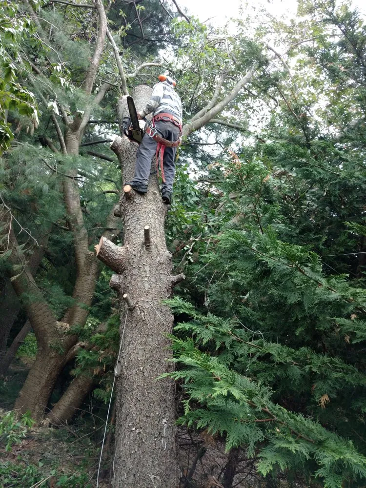 Reliable garden landscaping in Ocean Grove, NJ by American Landscaping and Tree Service