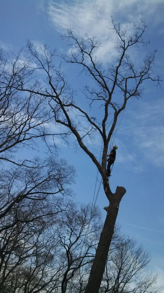 Reliable yard cleanup service in Ocean Grove, NJ - American Landscaping and Tree Service