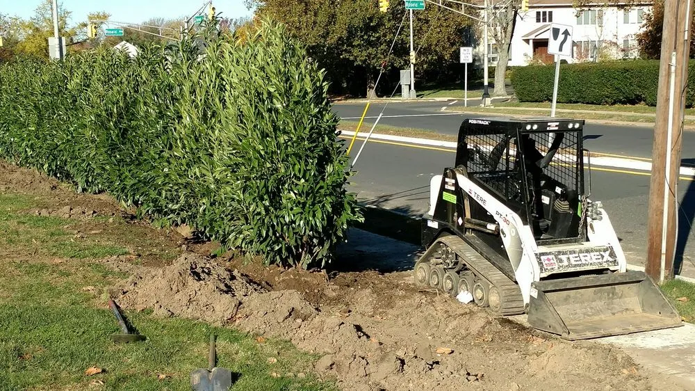 Reliable residential landscaping experts serving Ocean Grove, NJ - American Landscaping and Tree Service