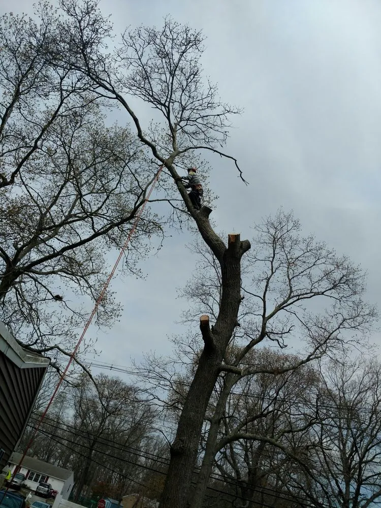 Professional garden landscaping experts serving Ocean Grove, NJ - American Landscaping and Tree Service