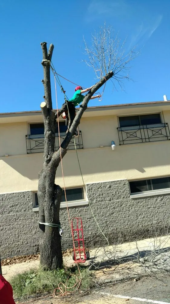 Trusted lawn mowing service for outdoor upgrades across Ocean Grove, NJ - American Landscaping and Tree Service