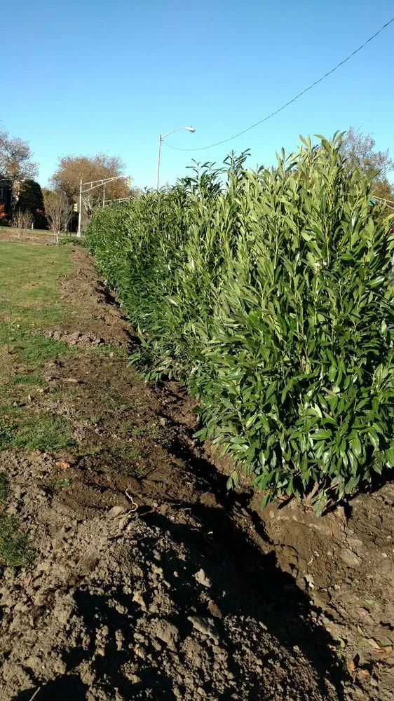 Reliable garden landscaping for homes across Ocean Grove, NJ - American Landscaping and Tree Service