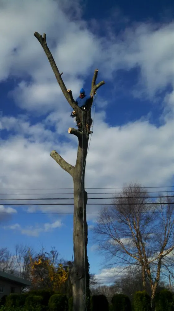 Local landscape design experts serving Ocean Grove, NJ - American Landscaping and Tree Service