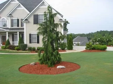 Reliable landscaping services for residential properties across Alpharetta, GA - American Landscaping Crew