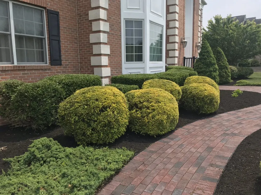 Trusted yard cleanup service with custom design across Hillsborough Township, NJ - American Landscaping