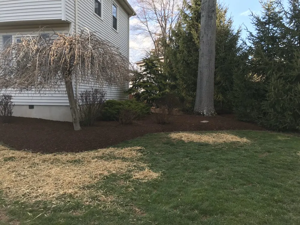 Affordable outdoor landscaping for beautiful yards across Hillsborough Township, NJ - American Landscaping