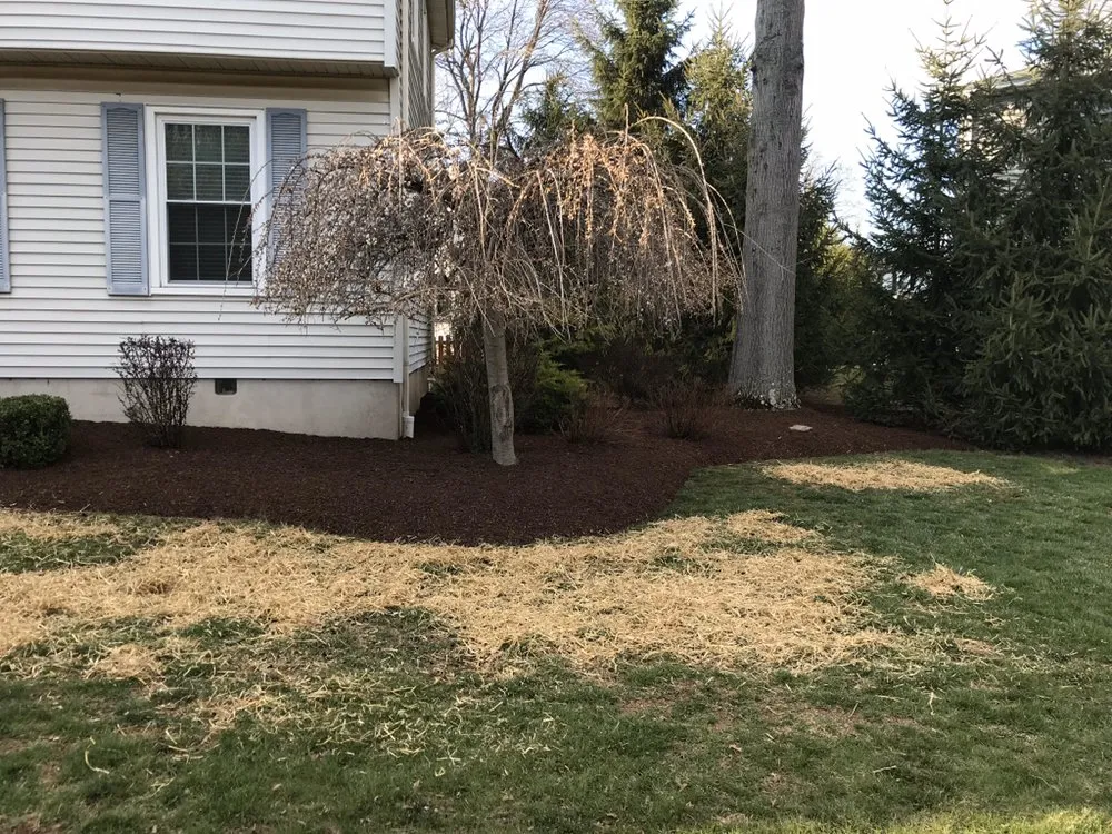 Custom lawn mowing service for year-round maintenance in Hillsborough Township, NJ by American Landscaping