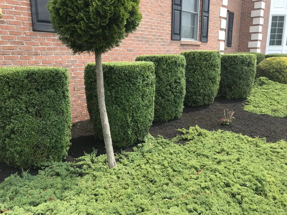 Trusted yard cleanup service for year-round maintenance in Hillsborough Township, NJ by American Landscaping