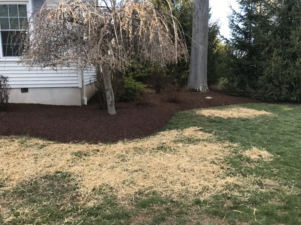 Local landscape installation for beautiful yards across Hillsborough Township, NJ - American Landscaping
