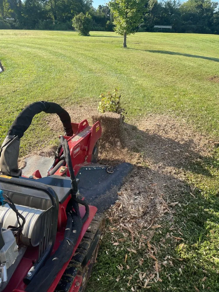Local landscape installation for outdoor upgrades in Scottsburg, IN by American Landscaping