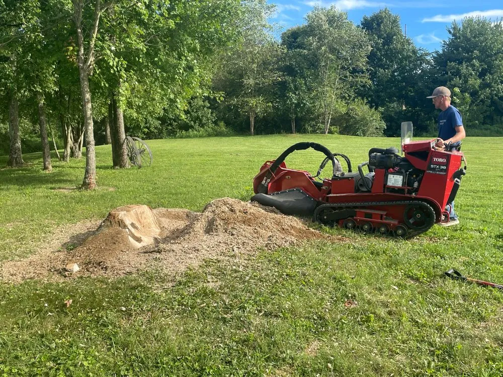 Top-rated yard maintenance in Scottsburg, IN by American Landscaping