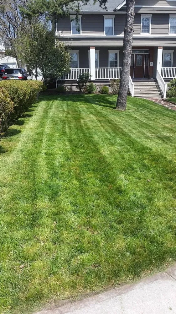 Reliable yard cleanup service experts serving Bayonne, NJ - American Landscaping Services