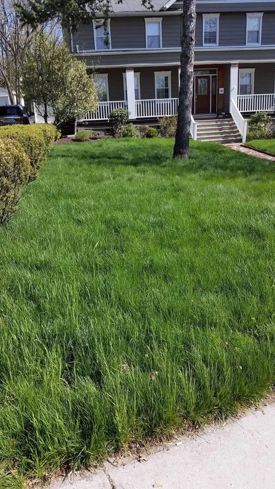 Affordable landscape design with custom design across Bayonne, NJ - American Landscaping Services