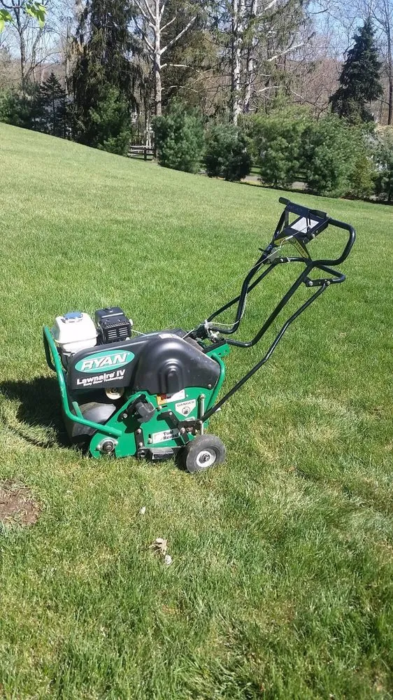 Trusted yard cleanup service in Bayonne, NJ - American Landscaping Services