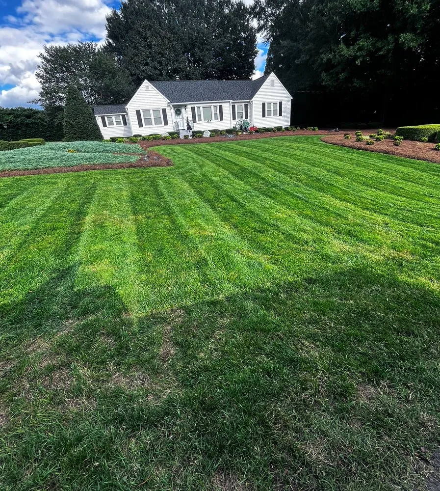 Top-rated lawn mowing service in Lewisville, NC by American Landscaping Services