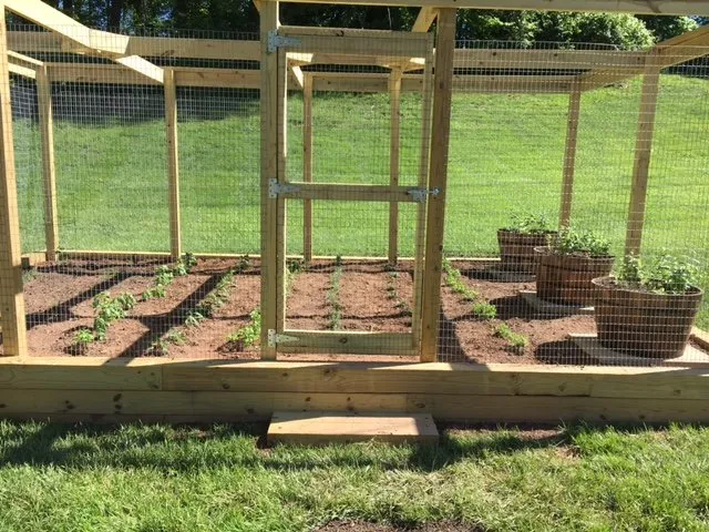 Custom garden landscaping near you in Silver Spring, MD by American Landscaping