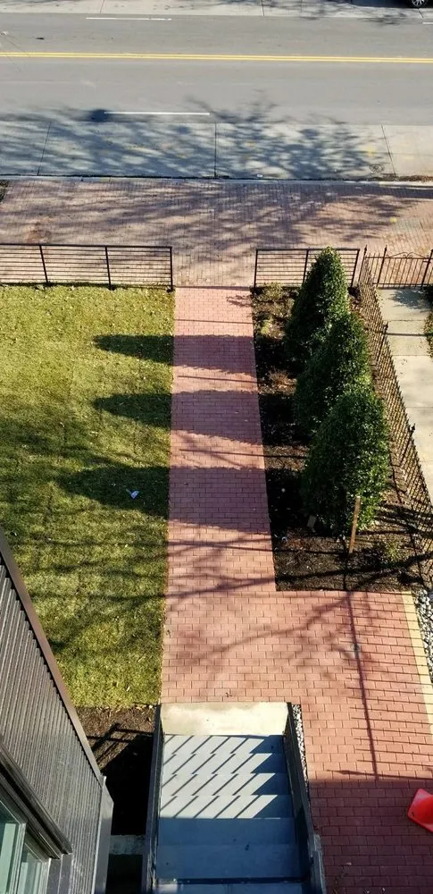 Reliable yard cleanup service for year-round maintenance in Silver Spring, MD by American Landscaping