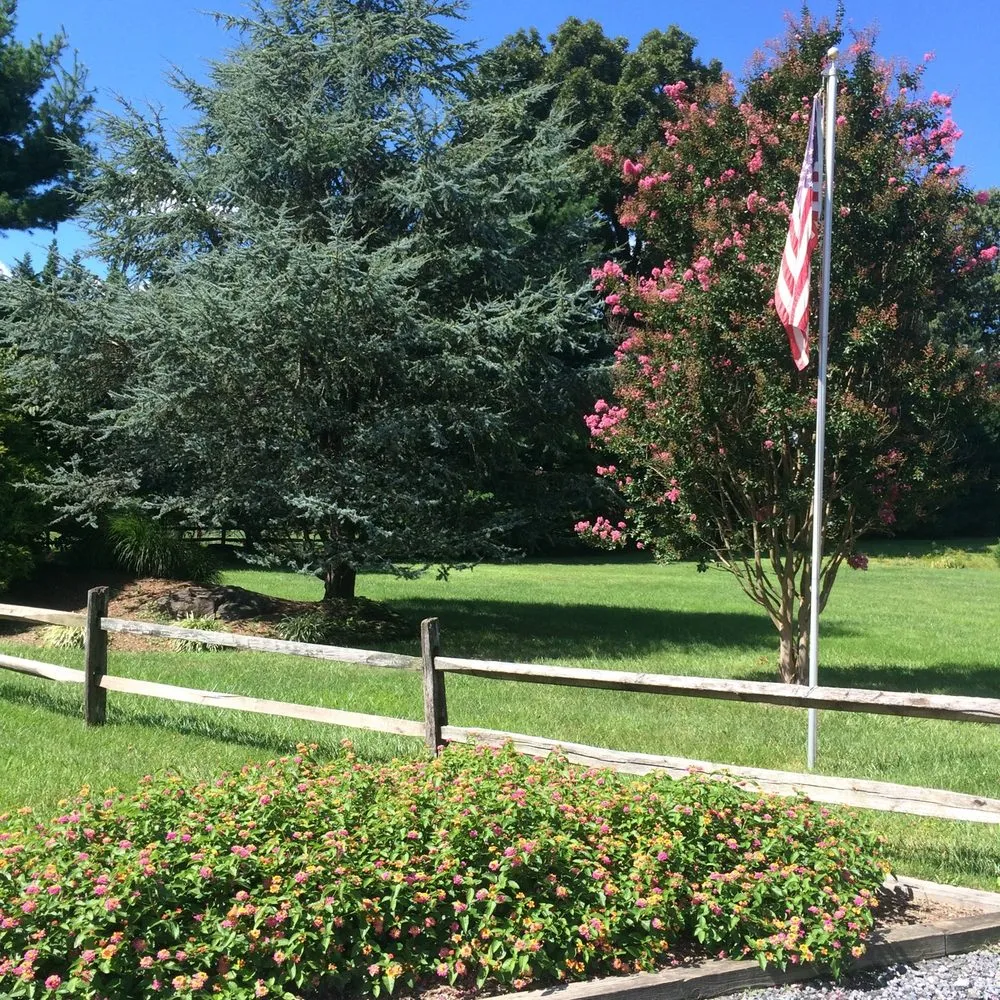 Reliable landscape installation for residential properties across Silver Spring, MD - American Landscaping