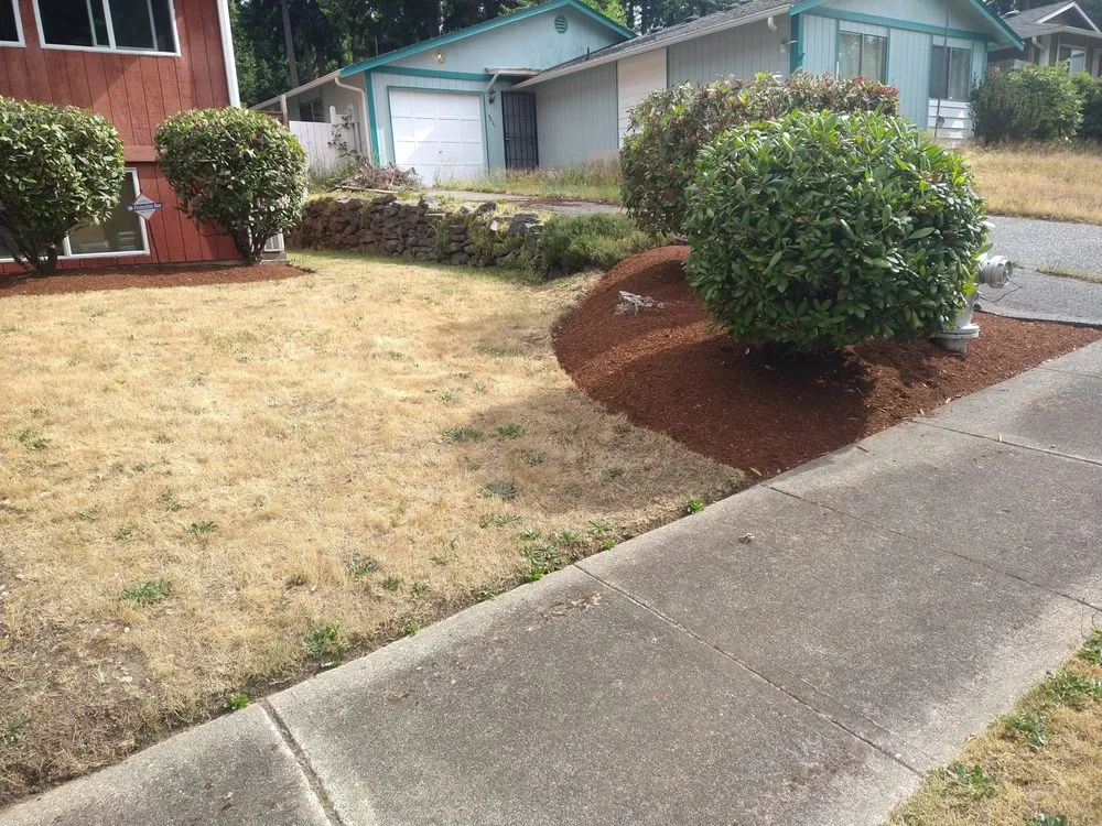 Trusted landscape design experts serving Tacoma, WA - American Landscaping