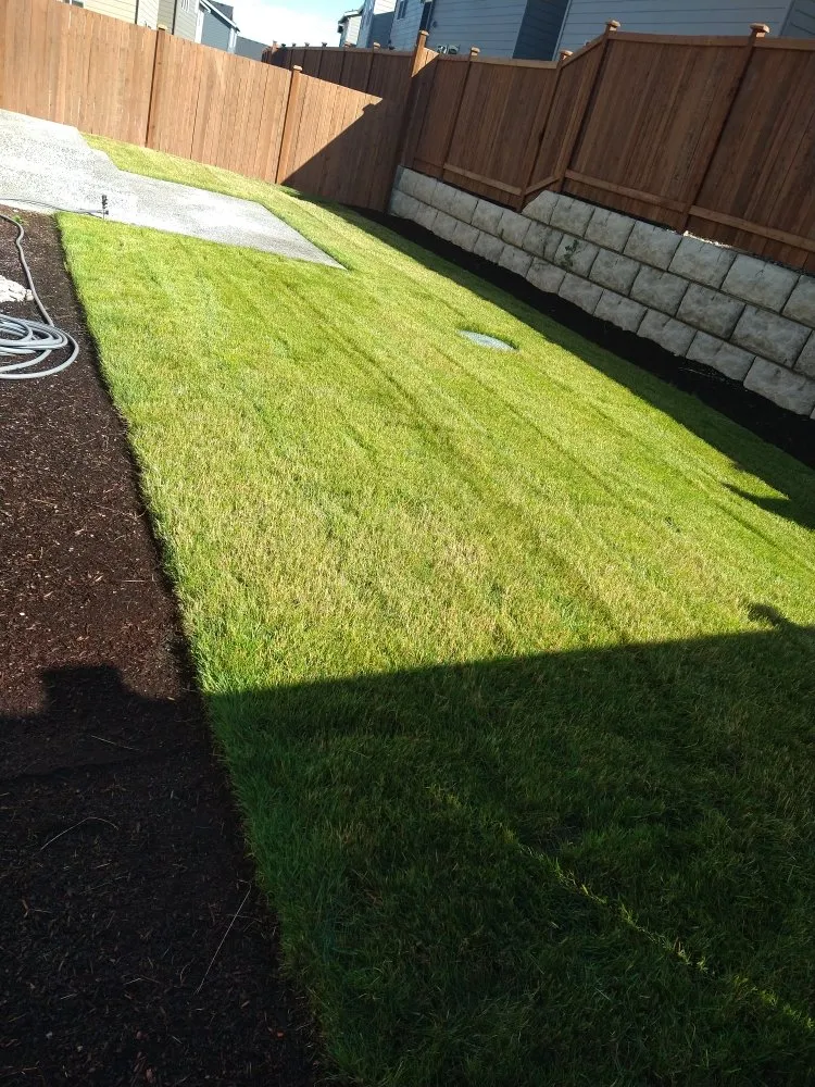 Expert landscape installation near you across Tacoma, WA - American Landscaping