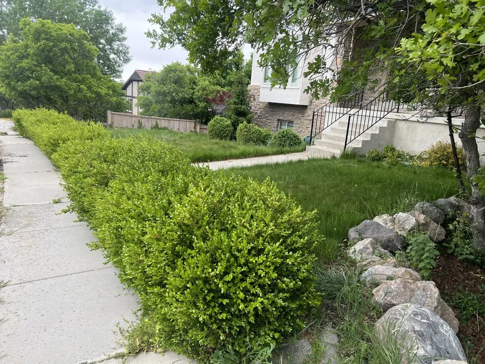 Custom landscape design for residential properties across Salt Lake City, UT - American Landwork