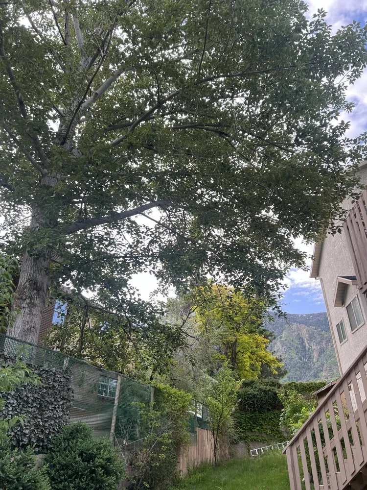 Reliable landscape installation in Salt Lake City, UT - American Landwork