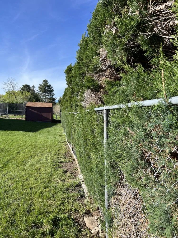 Local yard maintenance in Salt Lake City, UT by American Landwork