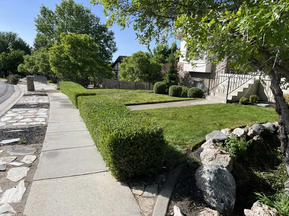 Professional yard cleanup service near you in Salt Lake City, UT by American Landwork