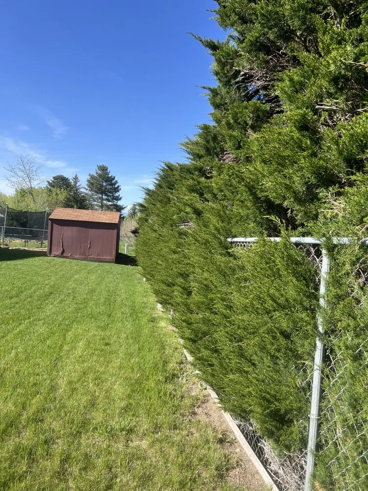 Reliable lawn mowing service experts serving Salt Lake City, UT - American Landwork