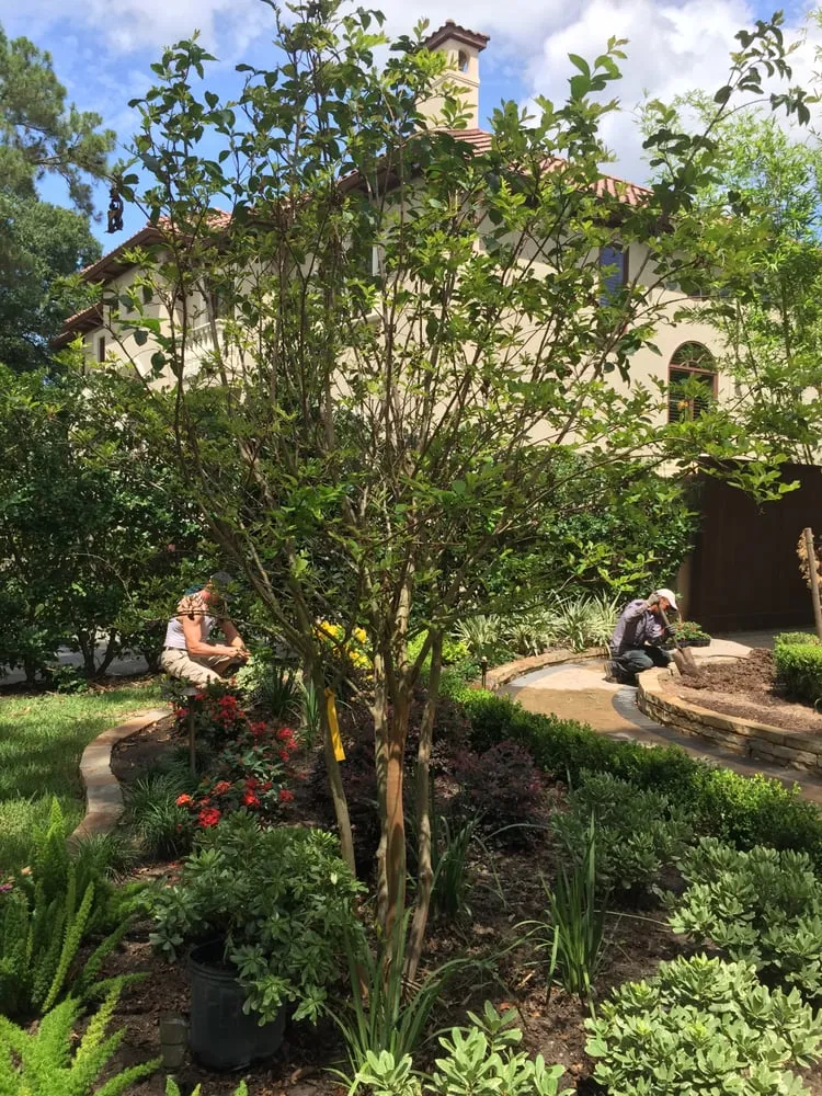 Reliable garden landscaping experts serving Houston, TX - American Lawn & Landscape