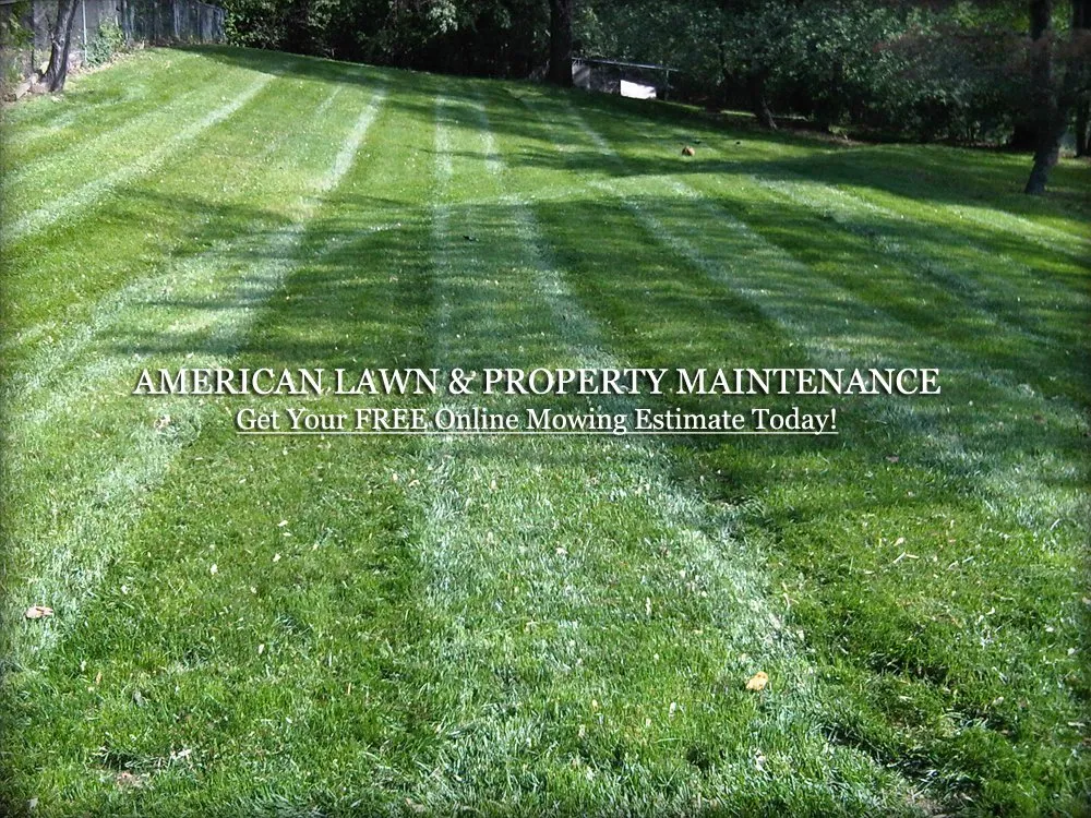 Top-rated lawn care service in Raytown, MO - American Lawn & Property Maintenance