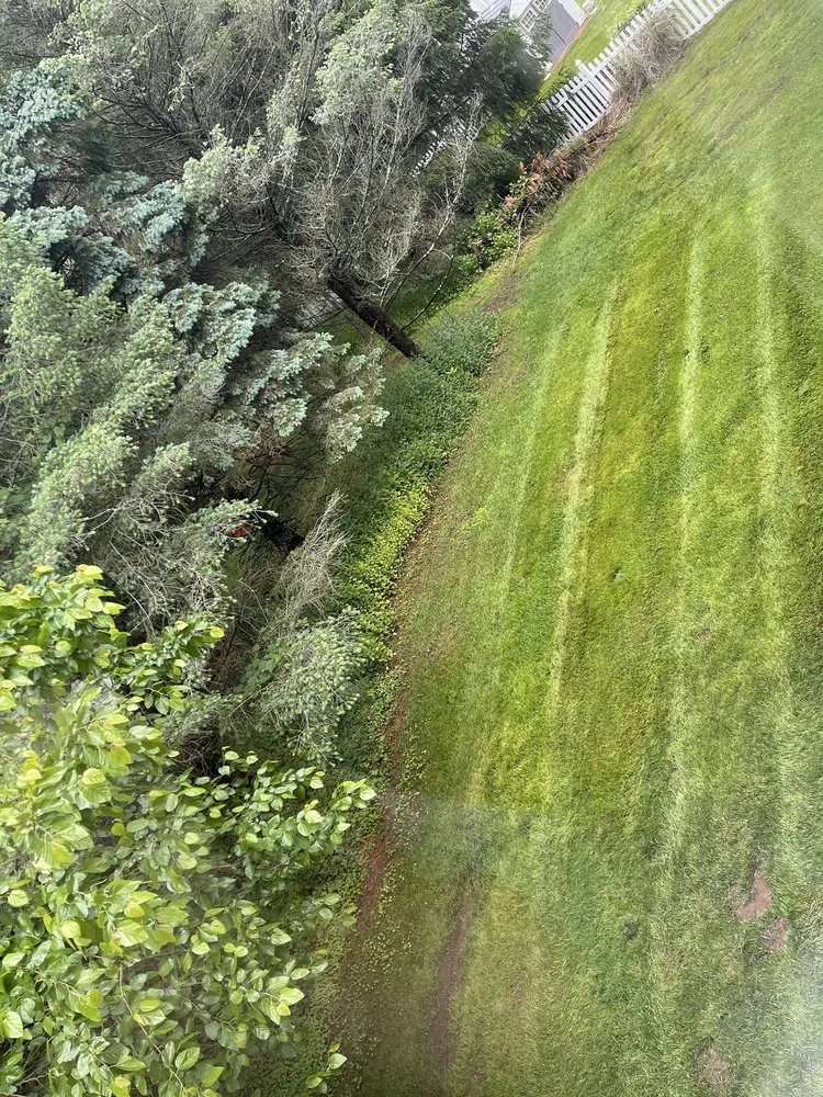 Professional yard cleanup service in Englishtown, NJ - American Lawn & Sprinkler