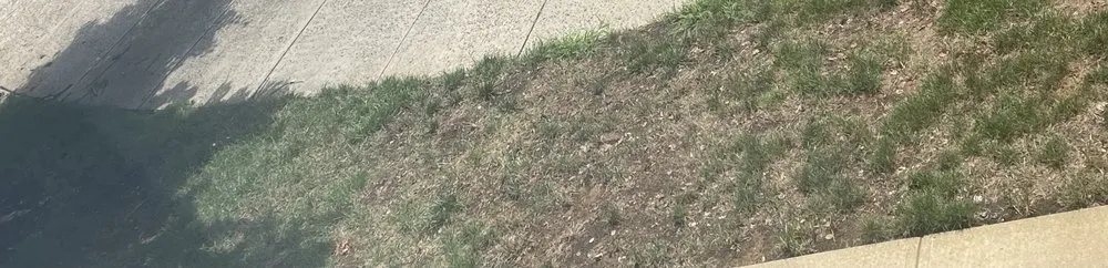 Affordable yard cleanup service in Englishtown, NJ - American Lawn & Sprinkler