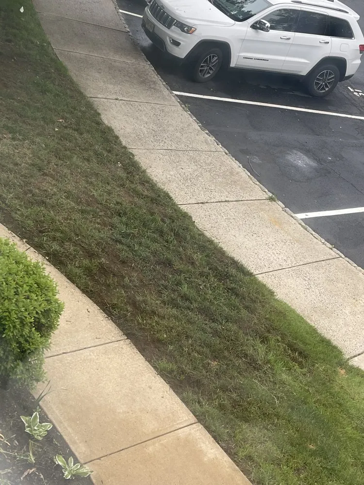 Affordable lawn care service in Englishtown, NJ - American Lawn & Sprinkler