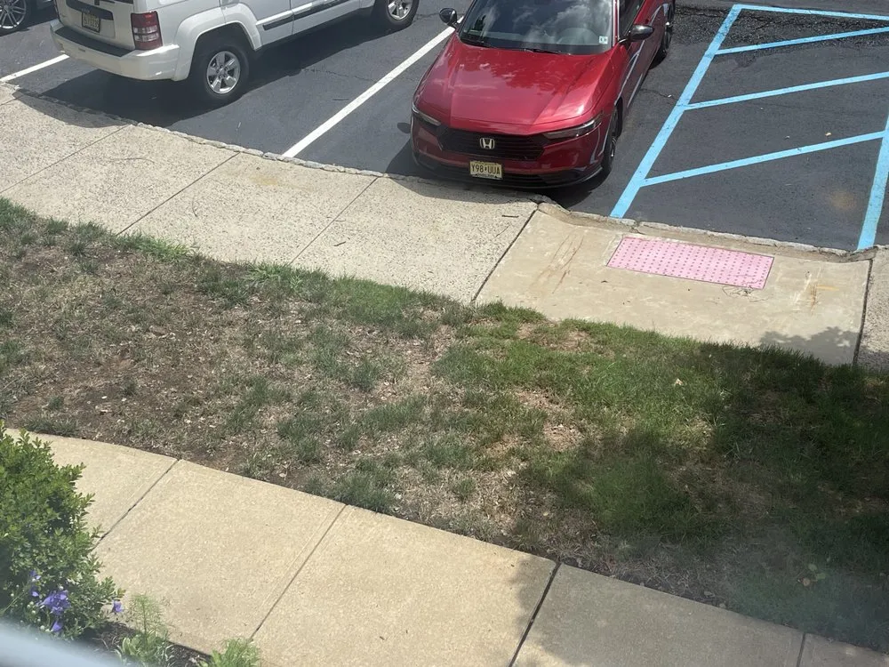 Trusted yard maintenance experts serving Englishtown, NJ - American Lawn & Sprinkler