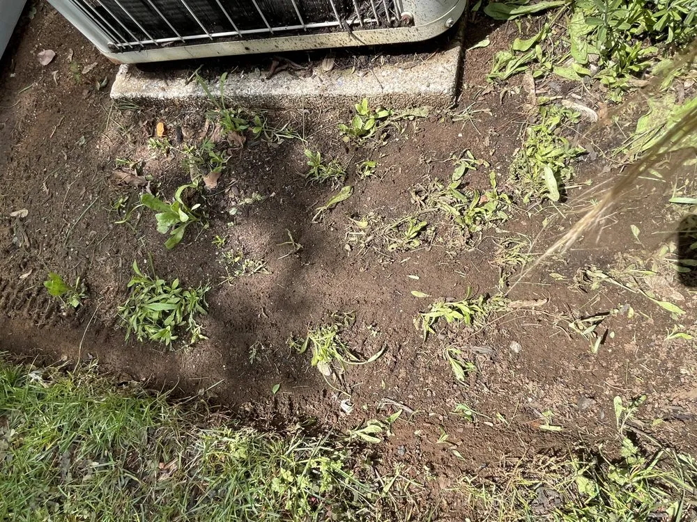 Professional residential landscaping experts serving Englishtown, NJ - American Lawn & Sprinkler