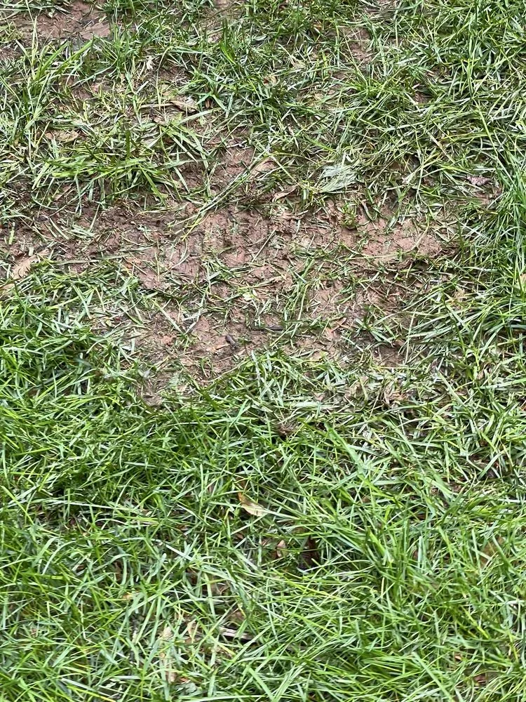 Custom outdoor landscaping in Englishtown, NJ - American Lawn & Sprinkler