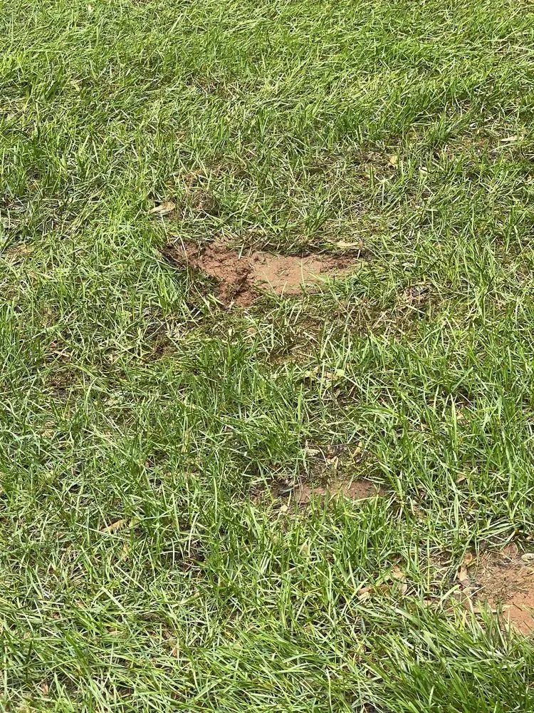 Professional lawn care service for year-round maintenance in Englishtown, NJ by American Lawn & Sprinkler