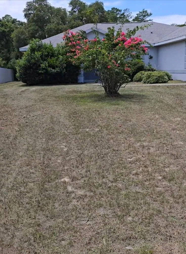 Trusted landscaping services for beautiful yards across Ocala, FL - American Lawn & Trees