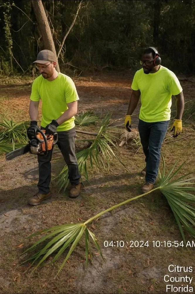 Reliable residential landscaping in Ocala, FL by American Lawn & Trees