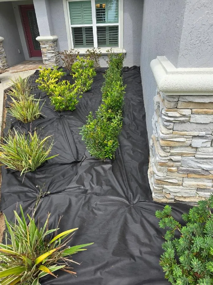 Custom landscape design in Ocala, FL by American Lawn & Trees