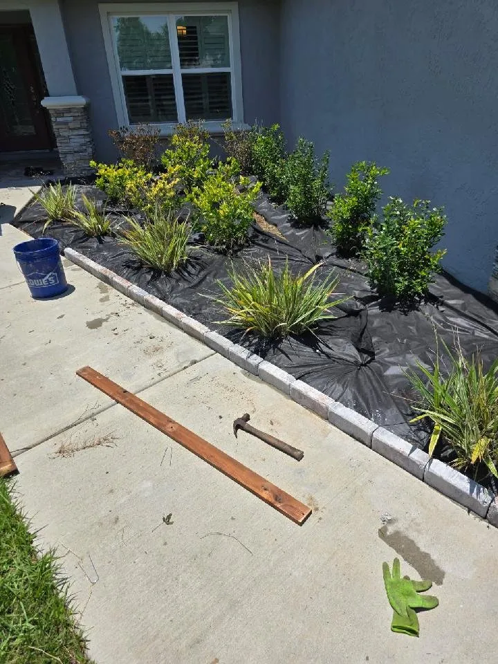 Trusted lawn care service for beautiful yards in Ocala, FL by American Lawn & Trees