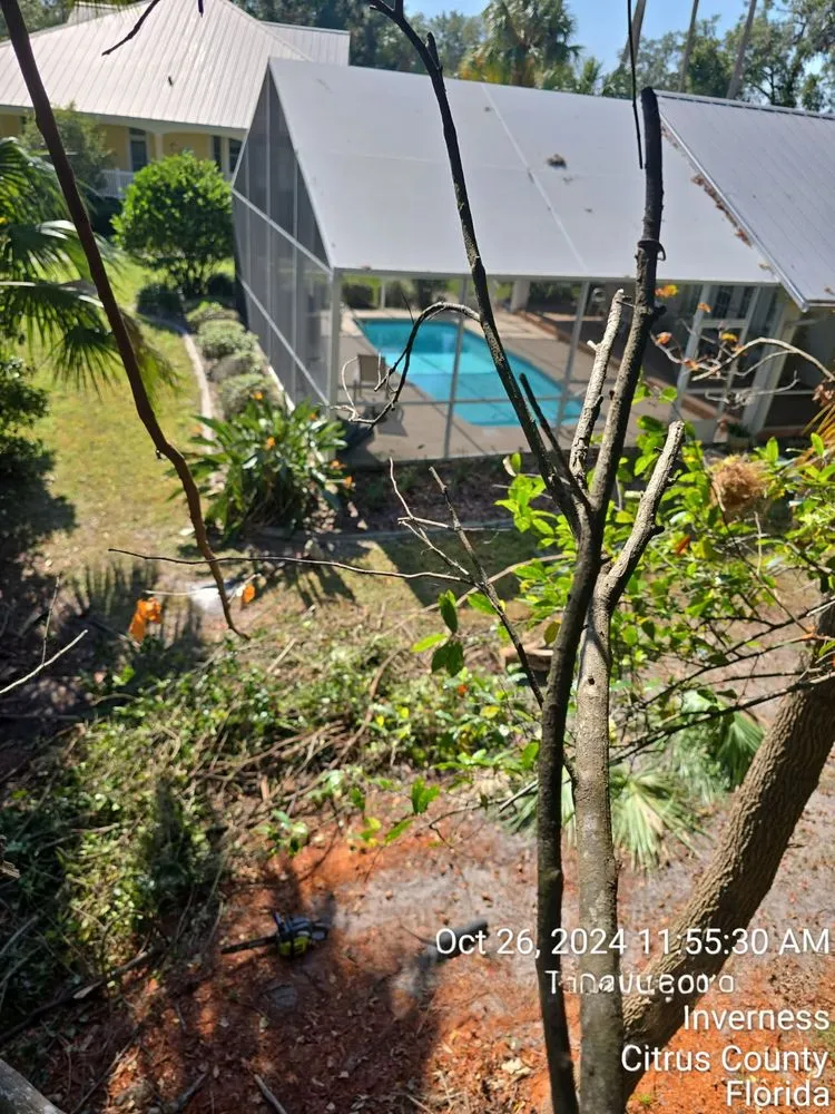 Local landscape installation near you in Ocala, FL by American Lawn & Trees