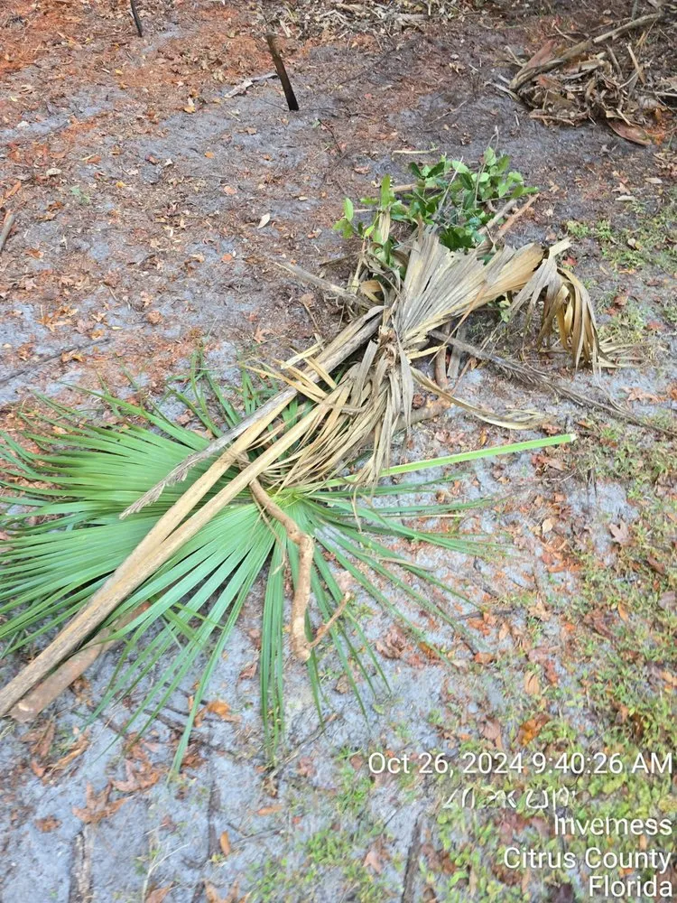 Affordable garden landscaping in Ocala, FL by American Lawn & Trees