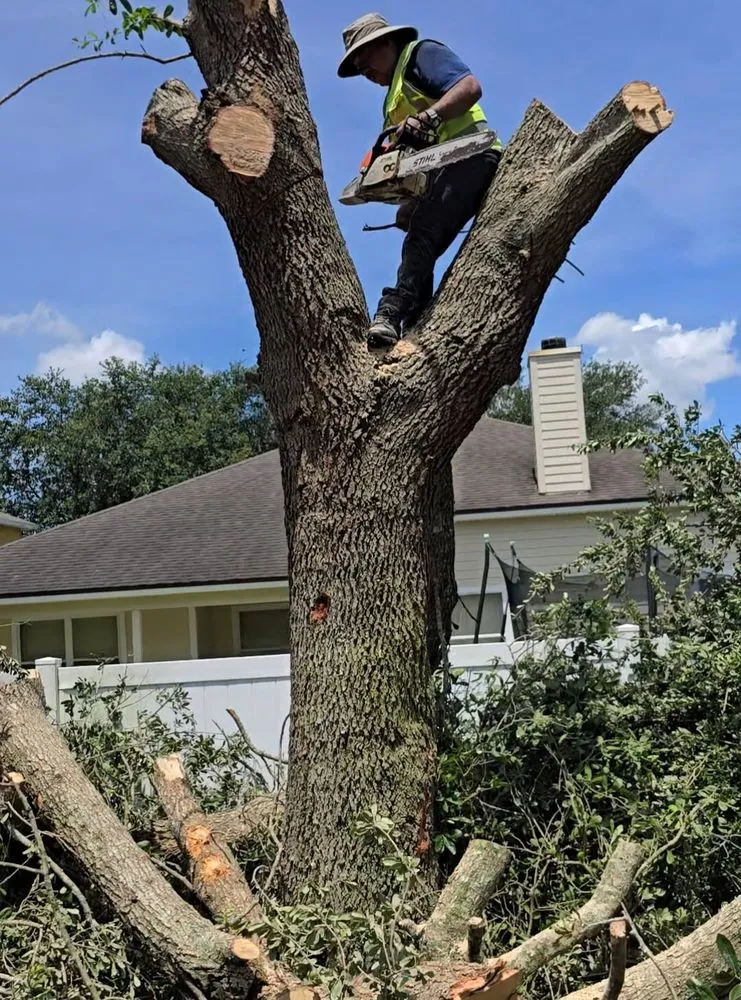 Expert garden landscaping experts serving Ocala, FL - American Lawn & Trees