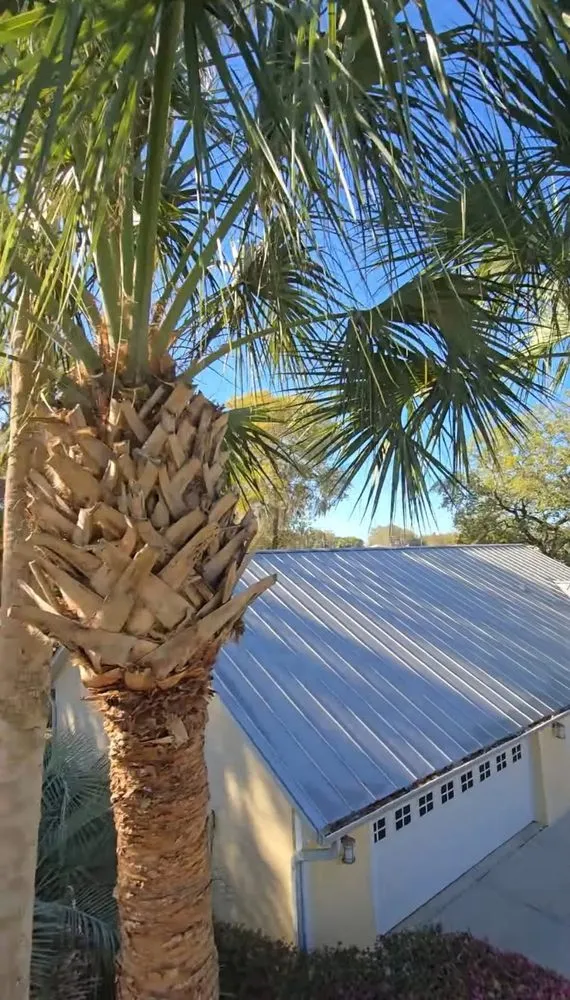 Affordable landscape design experts serving Ocala, FL - American Lawn & Trees