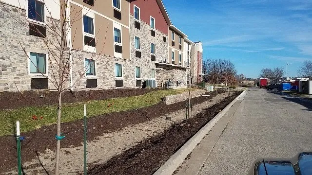 Reliable landscaping services experts serving Kearney, MO - American Lawn and Landscape