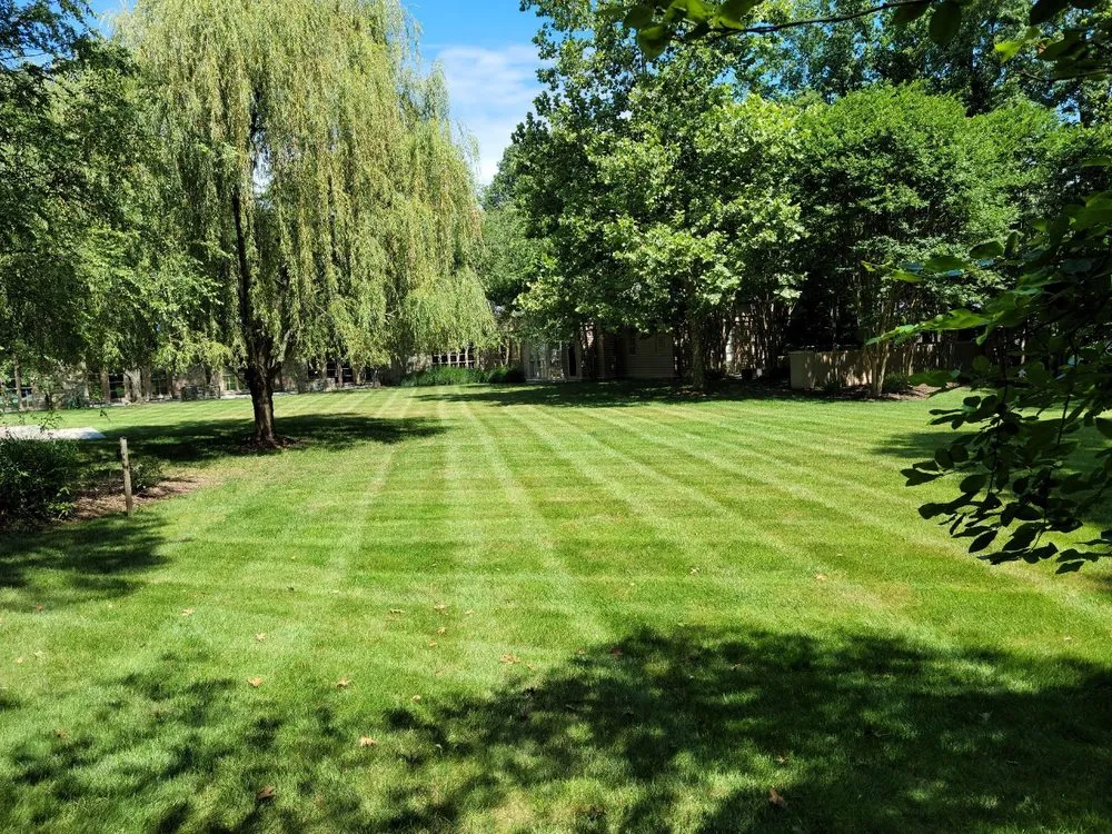 Reliable yard maintenance in Rosedale, MD - American Lawn And Tree Specialists
